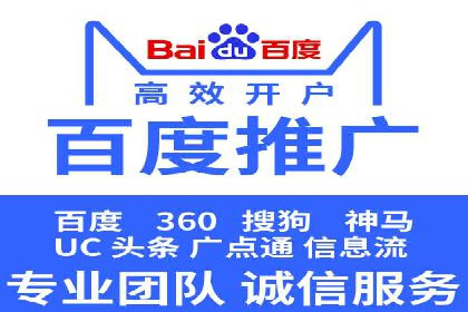 某行业领军企业的SEM广告投放策略
